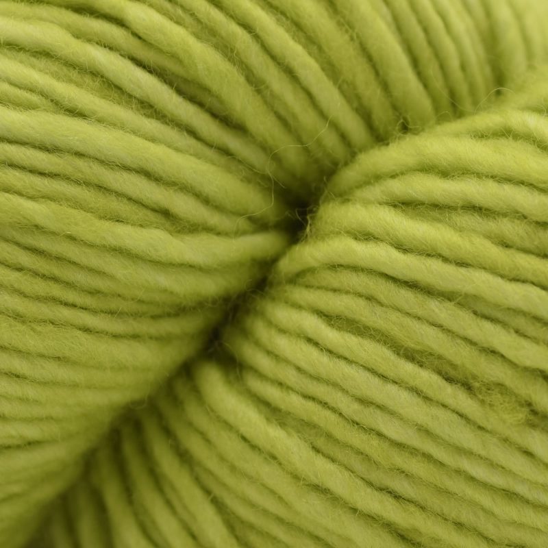 Michigan Fine Yarns Malabrigo Worsted 11 Apple Green