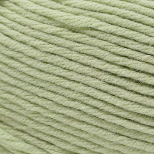 yarn cascade yarns sarasota worsted 201 baby lime 886904070666 502774