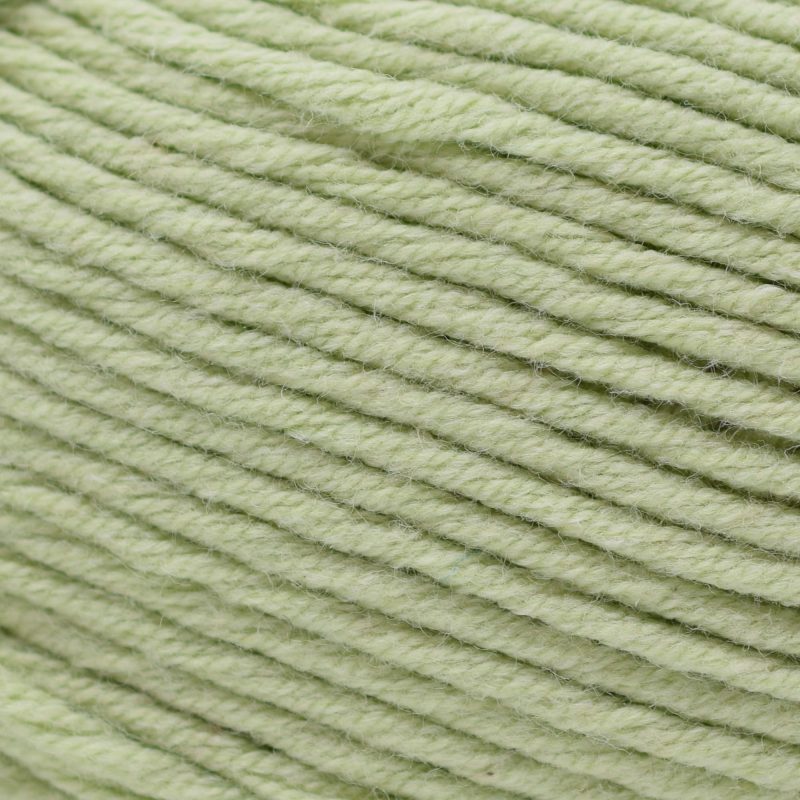 yarn cascade yarns sarasota worsted 201 baby lime 886904070666 502774