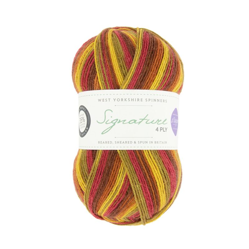 yarn west yorkshire spinners signature 4 ply 885 autumn leaves 5053682068856 830772