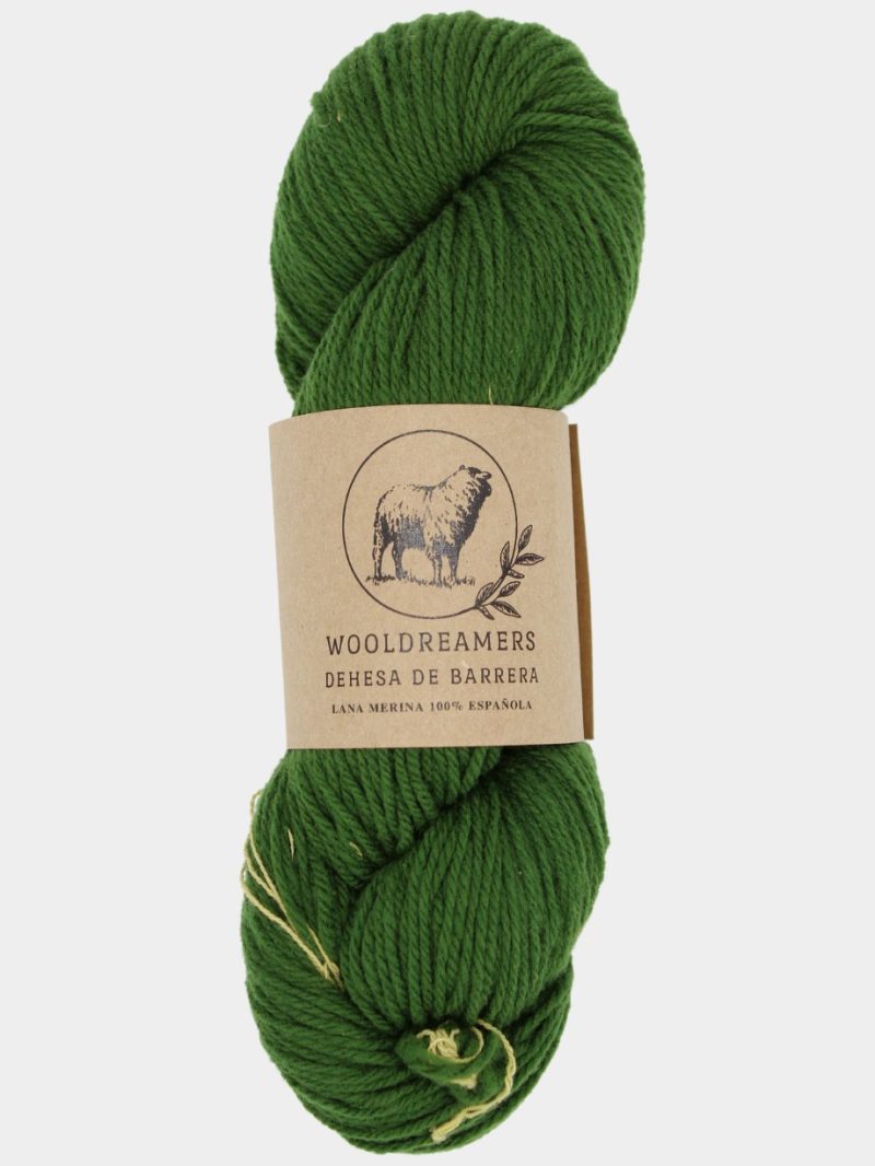 yarn wooldreamers dehesa de barrera dk 0323 olivio en dicembre 11414058 525272